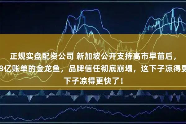正规实盘配资公司 新加坡公开支持高市早苗后,被罚18亿账单的金龙鱼,品牌信任彻底崩塌,这下子凉得更快了!