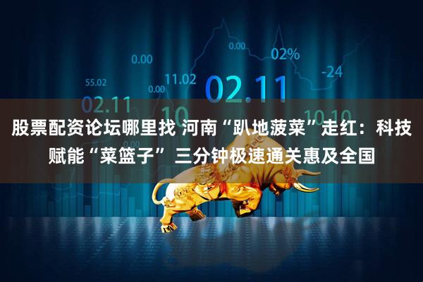 股票配资论坛哪里找 河南“趴地菠菜”走红：科技赋能“菜篮子” 三分钟极速通关惠及全国