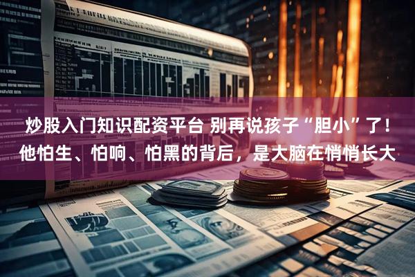 炒股入门知识配资平台 别再说孩子“胆小”了！他怕生、怕响、怕黑的背后，是大脑在悄悄长大