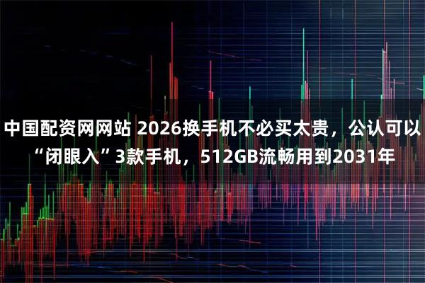 中国配资网网站 2026换手机不必买太贵，公认可以“闭眼入”3款手机，512GB流畅用到2031年