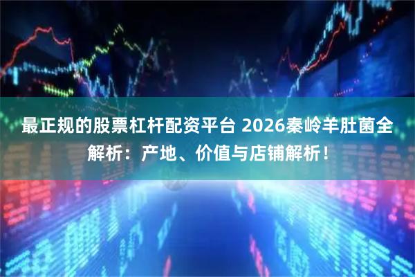 最正规的股票杠杆配资平台 2026秦岭羊肚菌全解析:产地、价值与店铺解析!